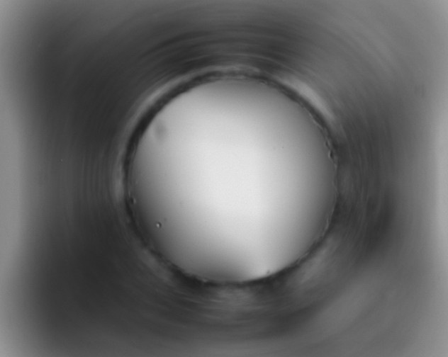 X0000092090927200709262120