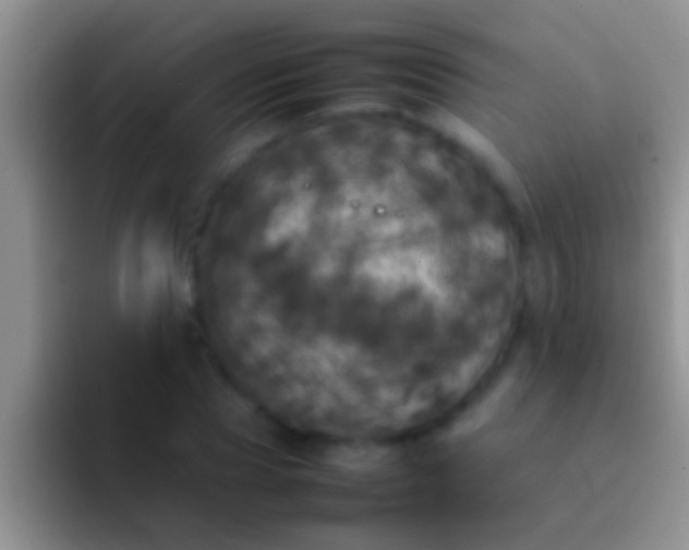 X0000092090929200709262120