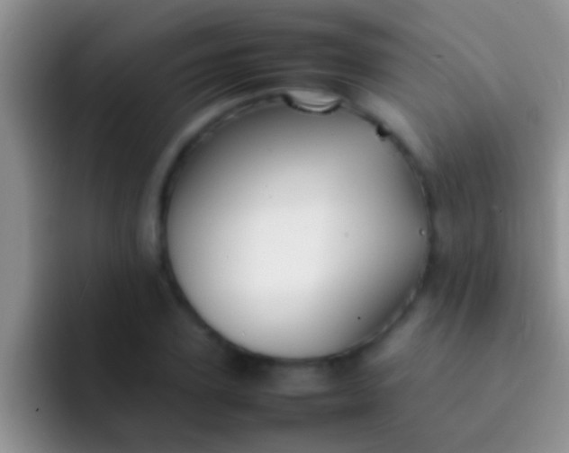 X0000092090931200709262120