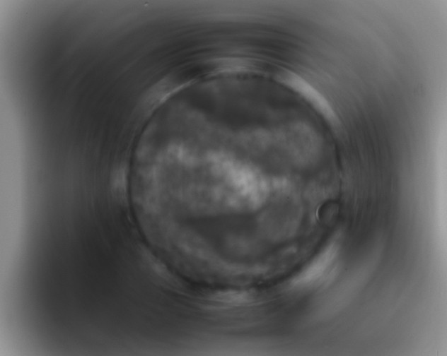 X0000092090937200709262120