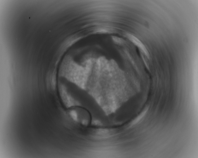 X0000092090938200709262120