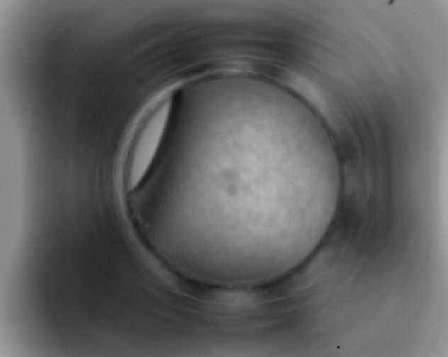 X0000092090939200709262120