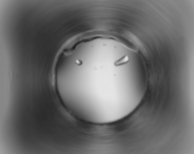 X0000092090940200709262120