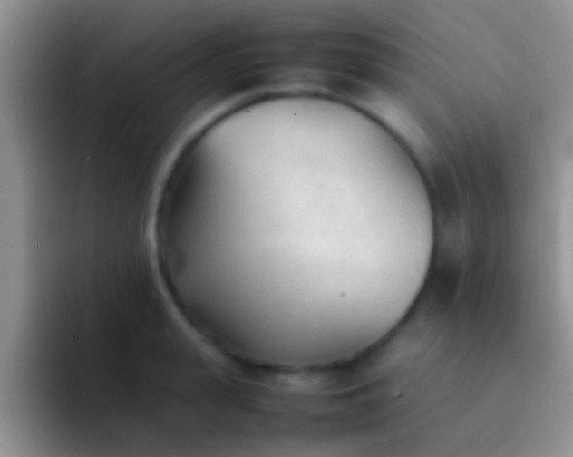 X0000092090943200709262120