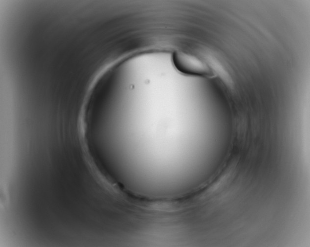X0000092090944200709262120