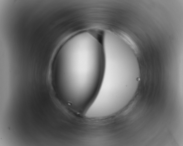 X0000092090948200709262120