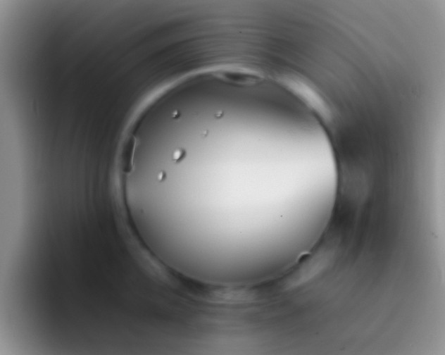 X0000092090952200709262120