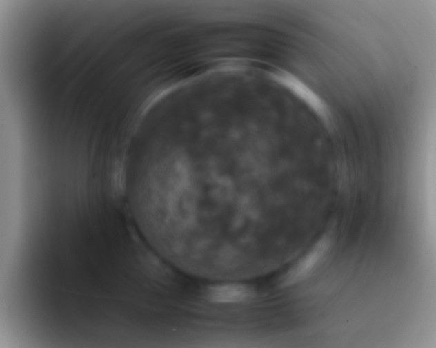X0000092090953200709262120