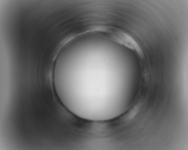 X0000092090954200709262120