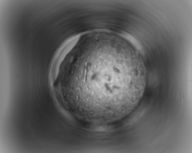 X0000092090955200709262120