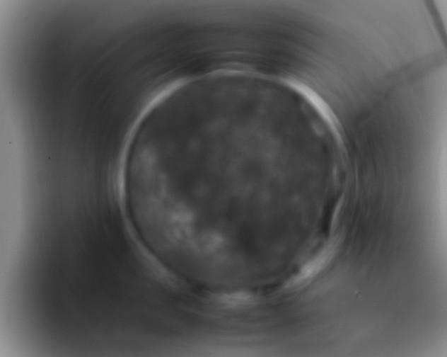 X0000092090957200709262120