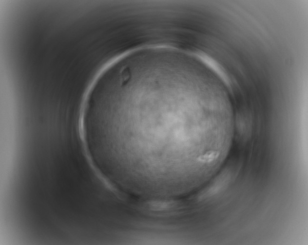 X0000092090959200709262120