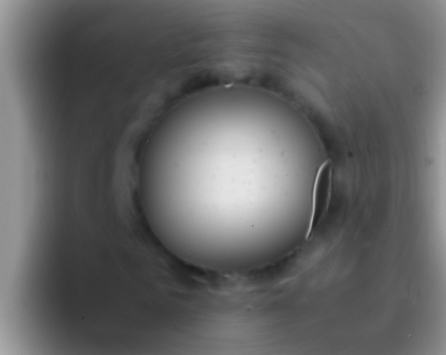X0000092090961200709262120