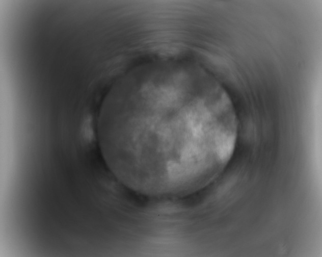 X0000092090962200709262120