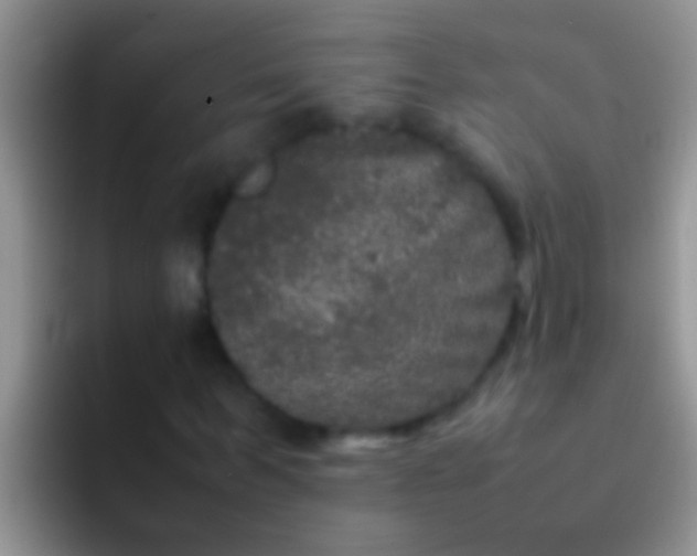 X0000092090963200709262120