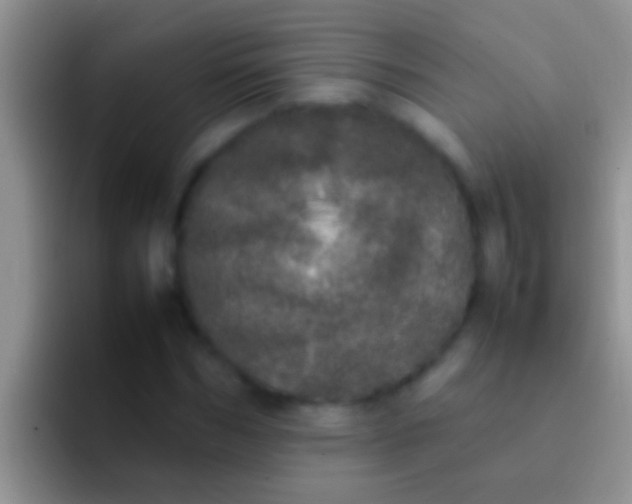 X0000092090970200709262120