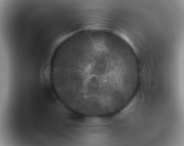 X0000092090971200709262120
