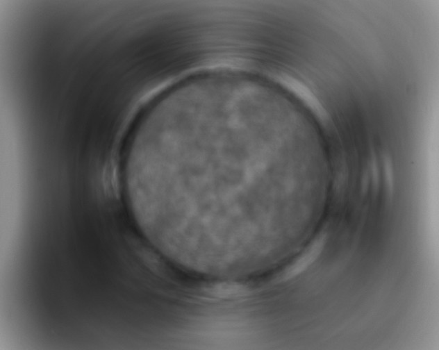 X0000092090974200709262120