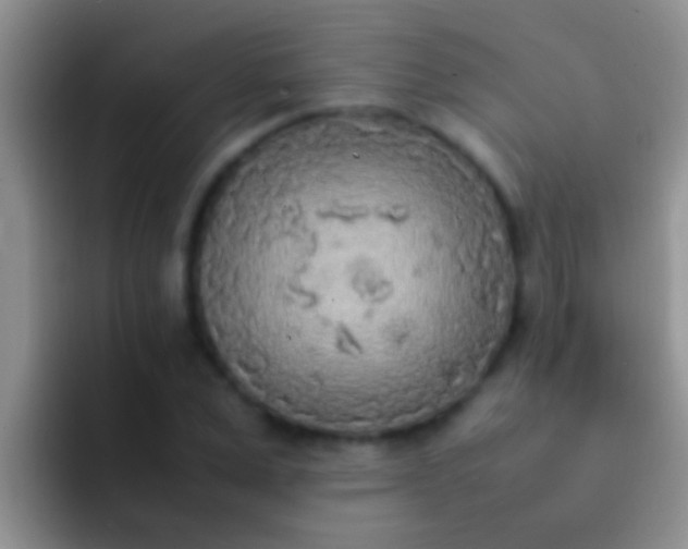 X0000092090975200709262120