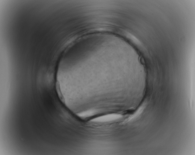X0000092090977200709262120