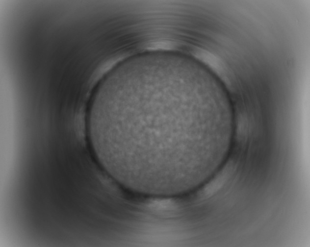 X0000092090978200709262120