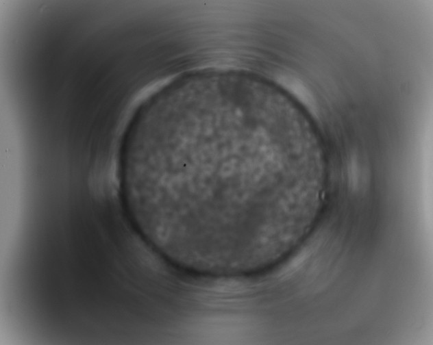 X0000092090979200709262120