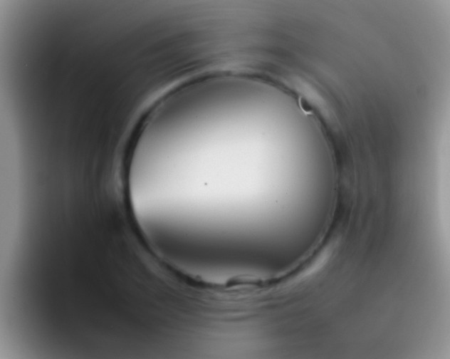 X0000092090981200709262120