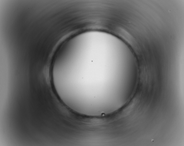 X0000092090984200709262120