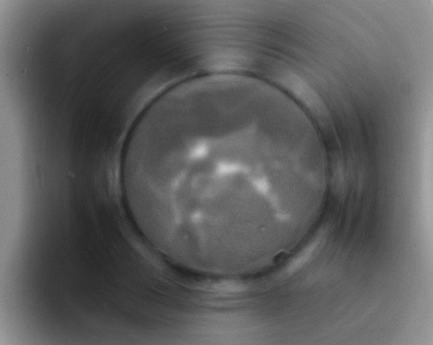 X0000092090986200709262120