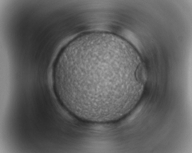 X0000092090987200709262119