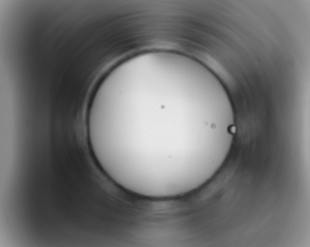 X0000092090988200709262119