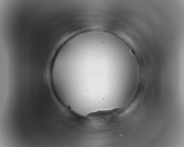 X0000092090989200709262119