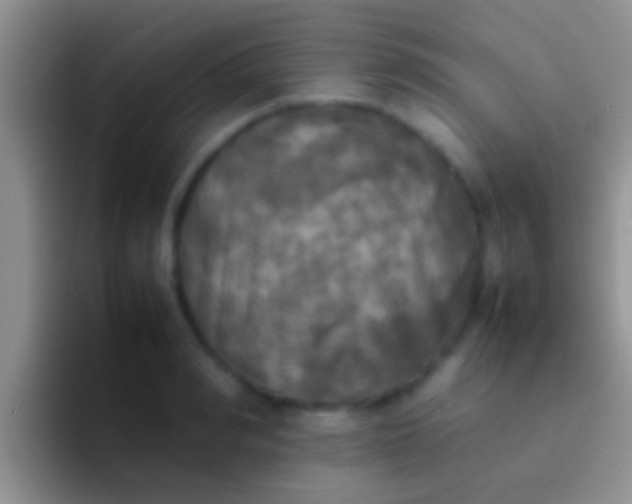 X0000092090990200709262119