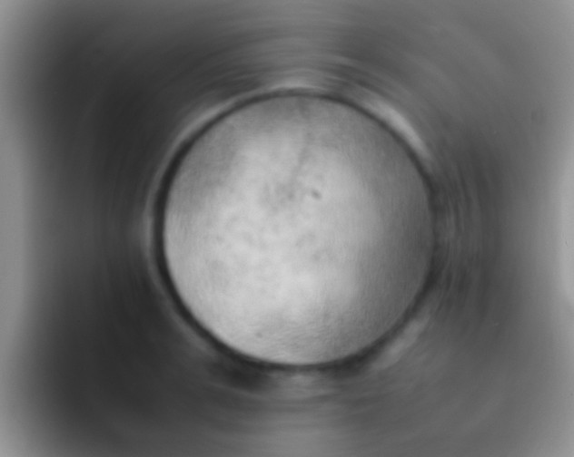 X0000092090991200709262119