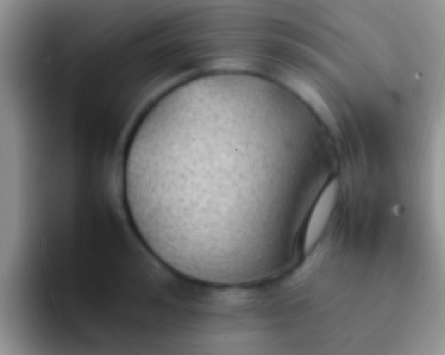 X0000092090992200709262119