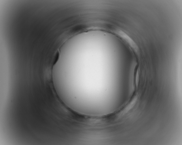 X0000092090993200709262119