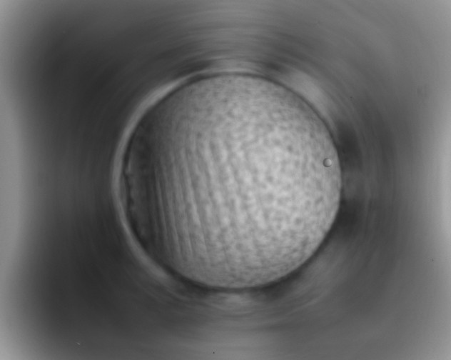 X0000092090995200709262119