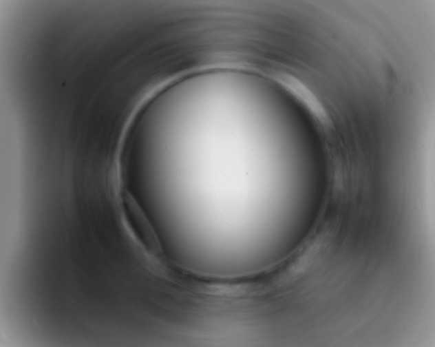 X0000092090996200709262119