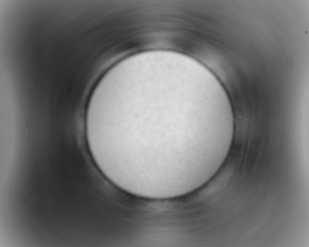 X0000092091000200709262119