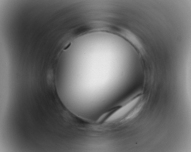 X0000092091001200709262119