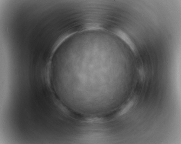 X0000092091002200709262119