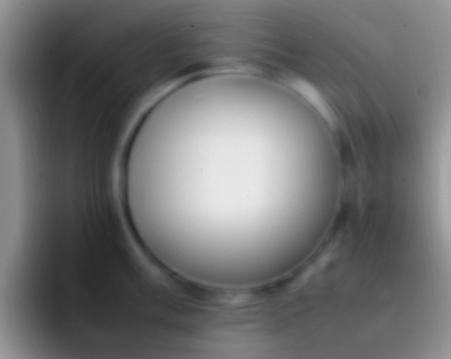 X0000092091003200709262119