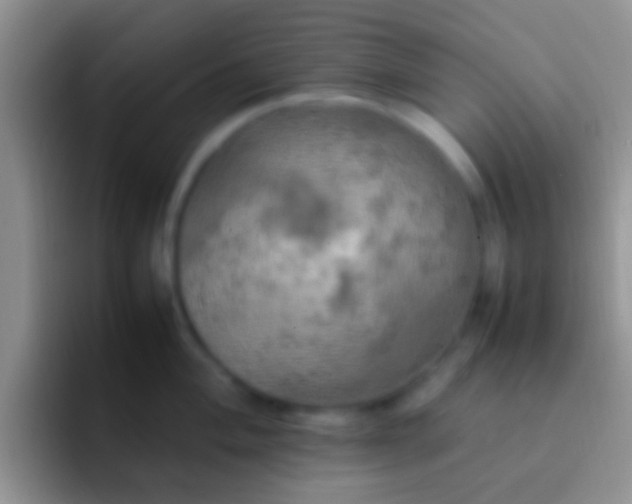 X0000092091004200709262119