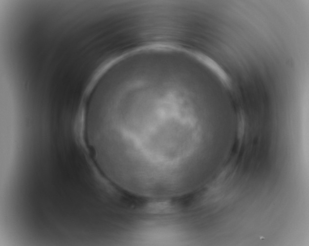 X0000092091006200709262119