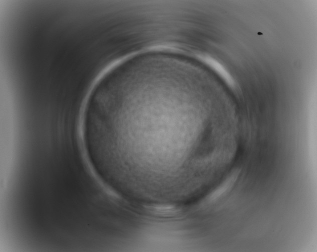 X0000092091007200709262119