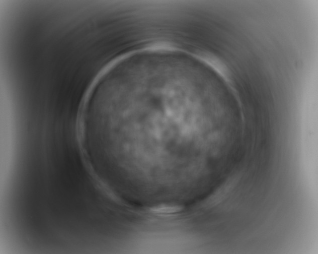 X0000092091008200709262119