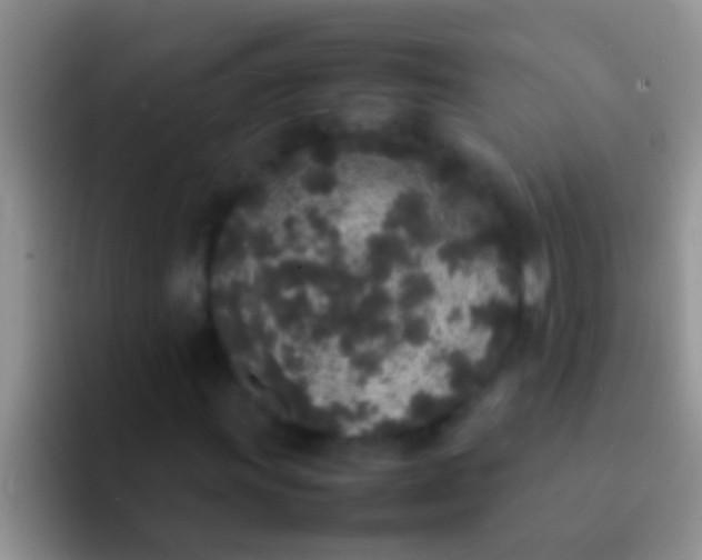 X0000092091011200709262119