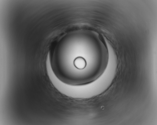 X0000092091014200709262119
