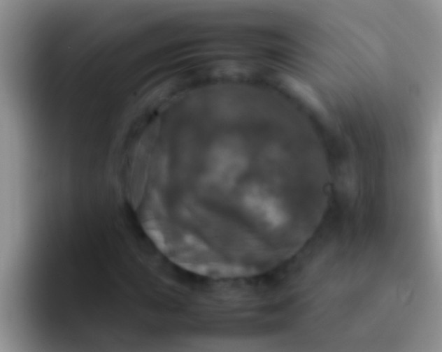 X0000092091015200709262119