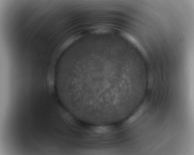 X0000092091017200709262119
